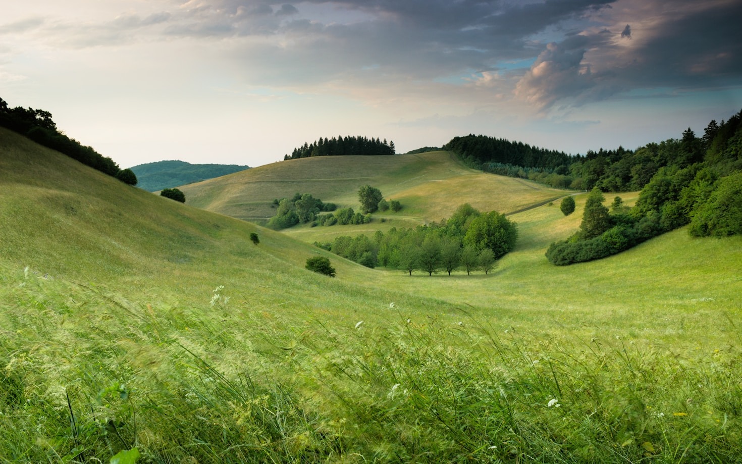 Urban Culture Meets Rugged Natural Beauty Daily
